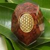 Red Jasper Flower of life Orgonite Dodecahedron