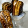 Tiger Eye Decor Free Forms