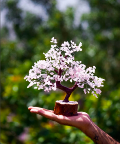 Natural Stone Rose Quartz Mineral Tree For Home Decor