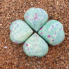 Wholesale Natural Gemstone Ruby Fuchsite