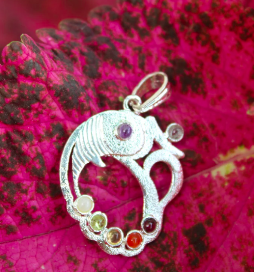 Fish Shape With Seven Chakra Metal Pendant