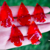 Wholesale Red Glass Arrowheads